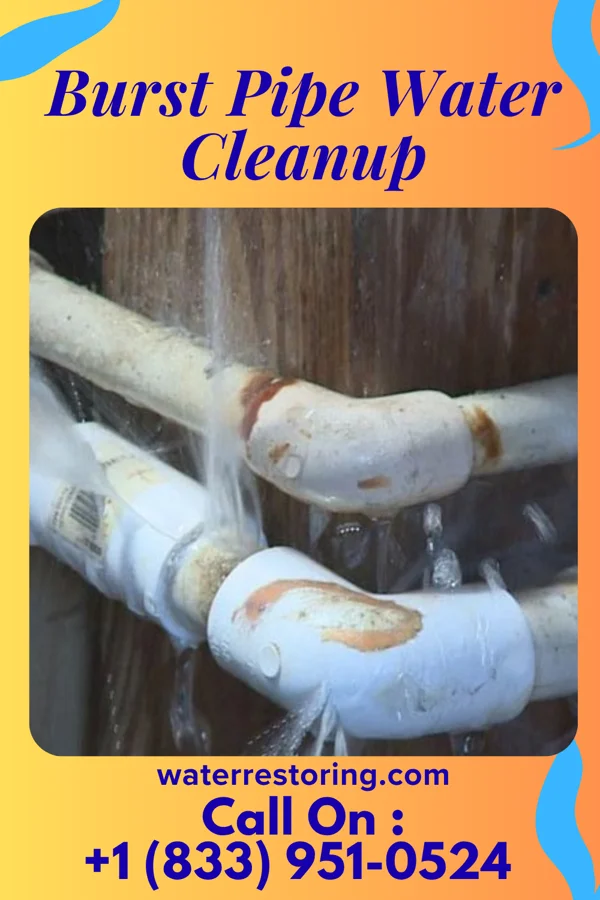 Burst Pipe Water Cleanup in Jacksonville, VT