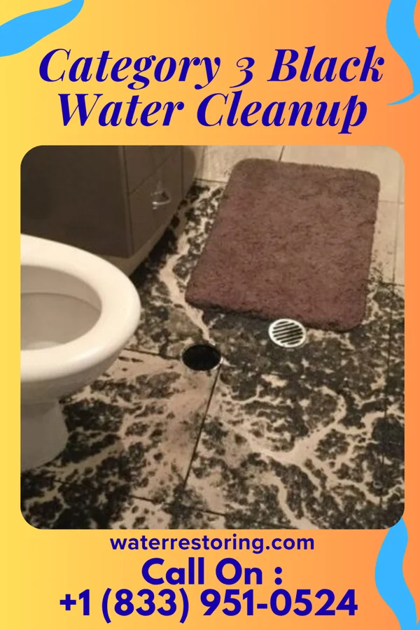Category 3 Black Water Cleanup in Jacksonville, VT