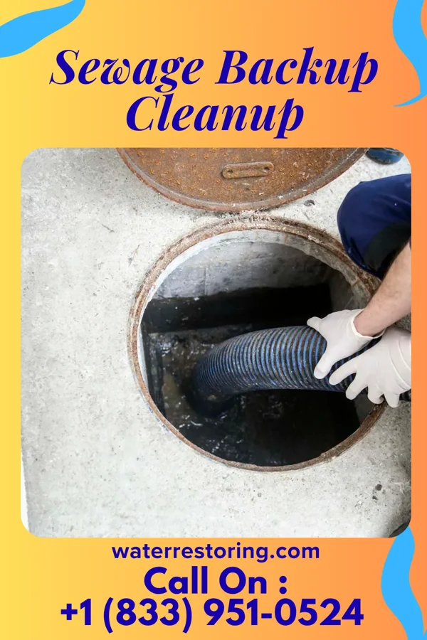 Sewage Backup Cleanup in Jacksonville, VT