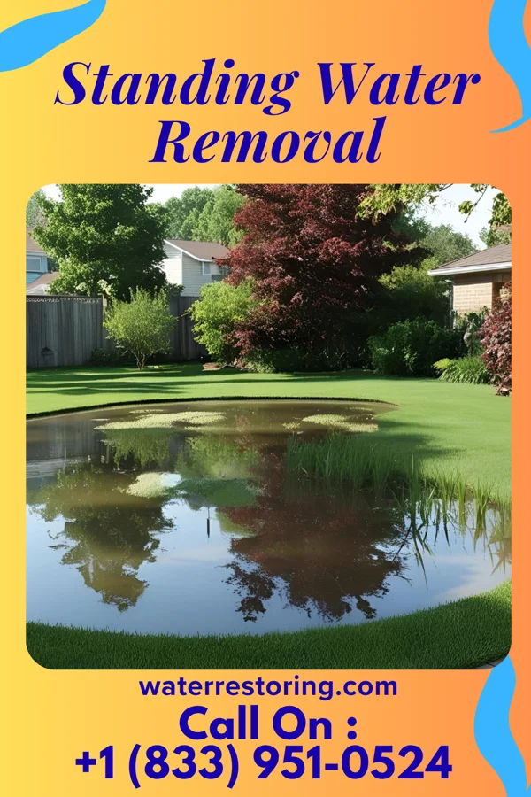 Standing Water Removal in Jacksonville, VT